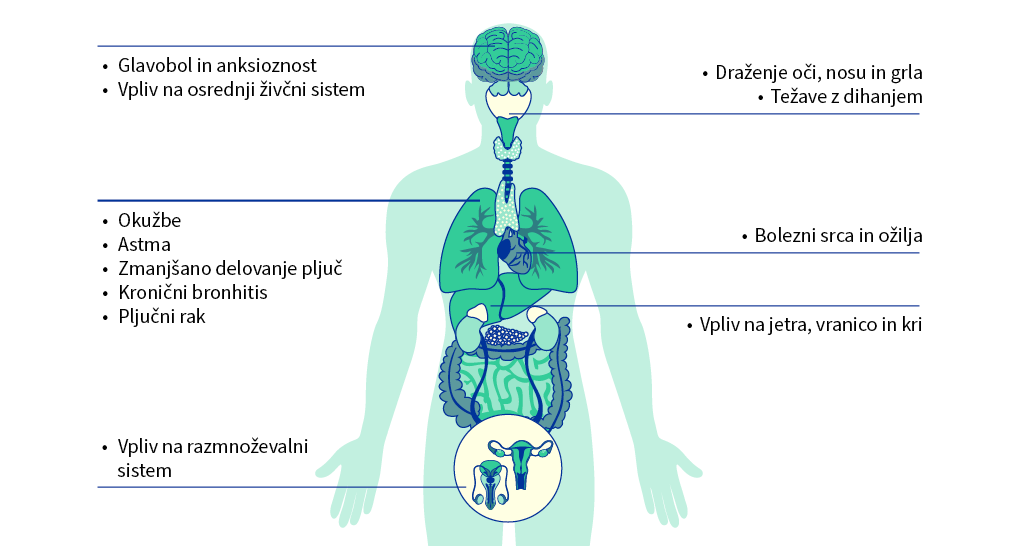 Onesnazenost-zraka_vplivi na zdravje_vir consillum.europa.eu